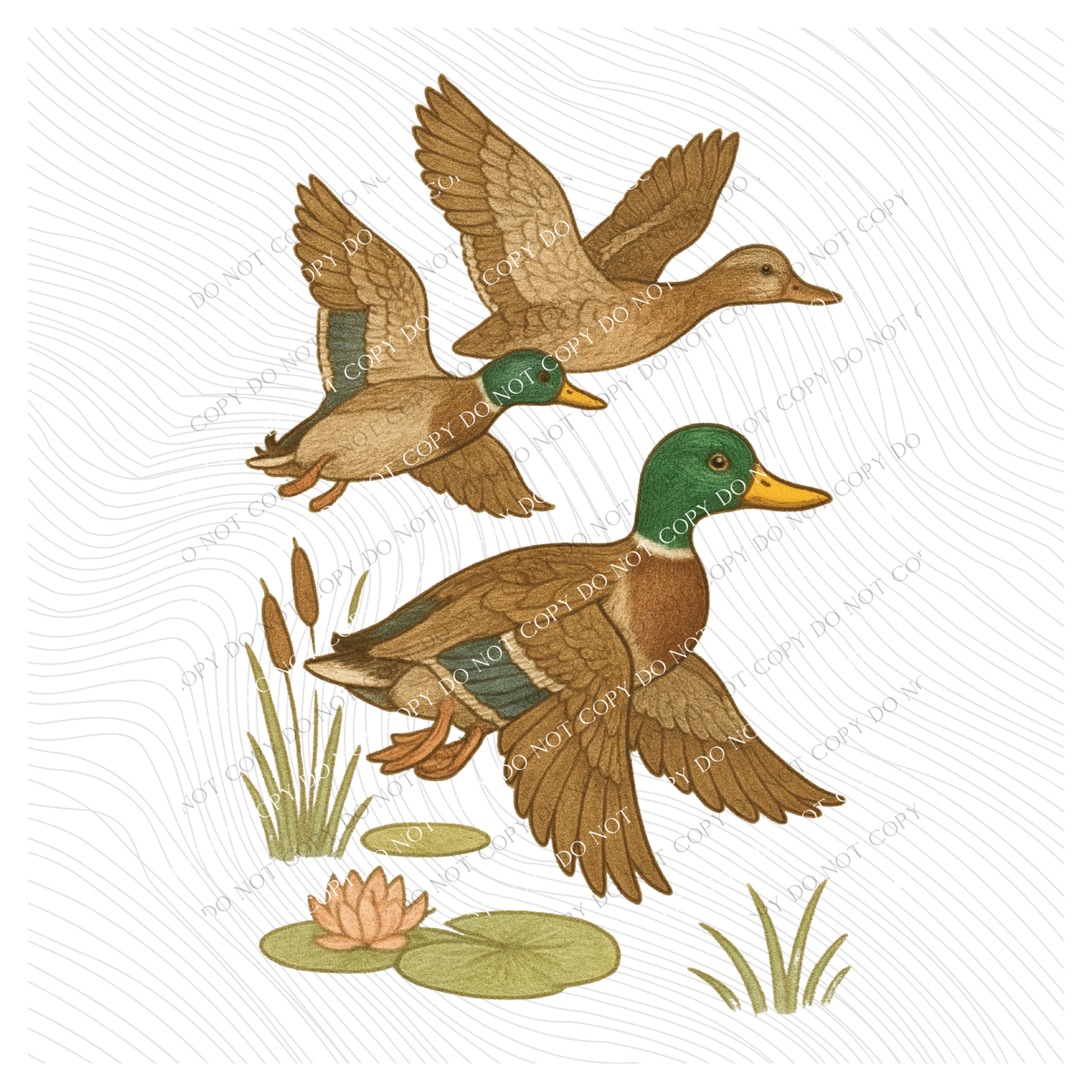 Ducks over Water Sketch Digital Download, PNG