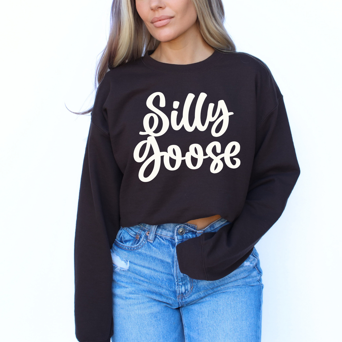 Silly Goose Script in Off-white Digital Design, PNG