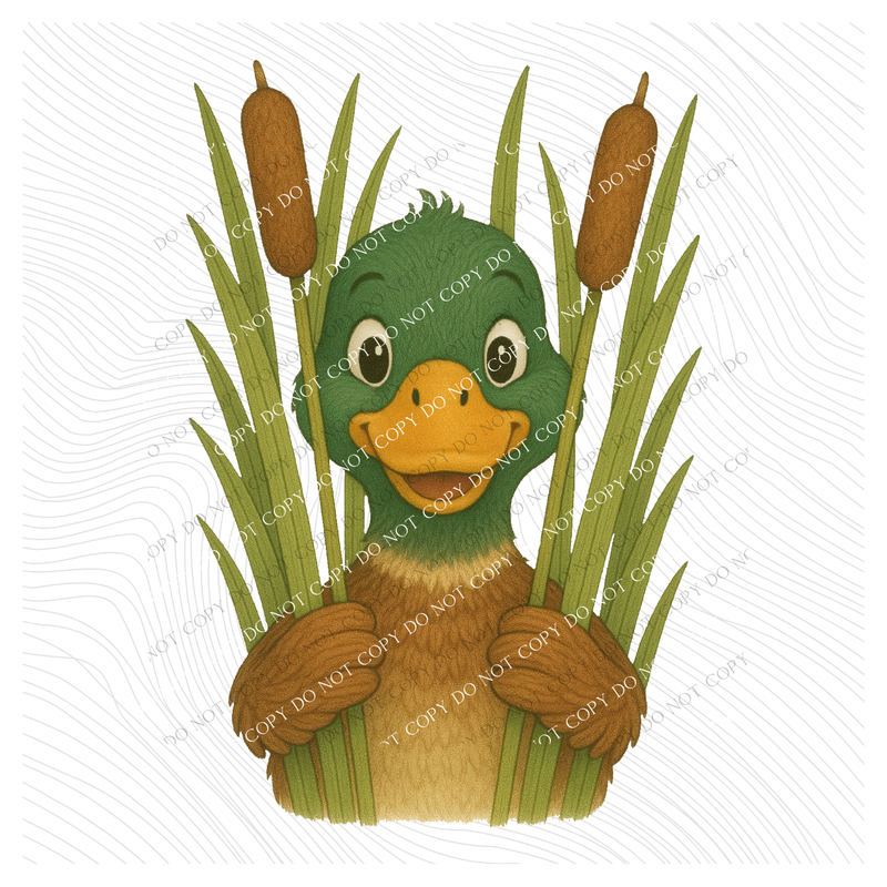 Cute Cattail Duck Sketch Digital Download, PNG
