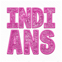 Indians Embroidery & Sequin in Pink Mascot Digital Design, PNG