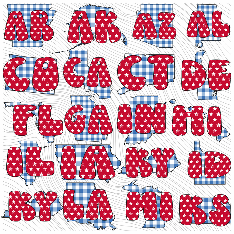 BUNDLE - All 50 States - Gingham Stars Red White Blue