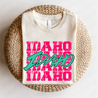 Idaho Pink and Teal Distressed Stacked Cutout